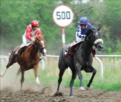 Как не отбросить копыта