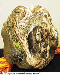 Булыжника бессмертная душа