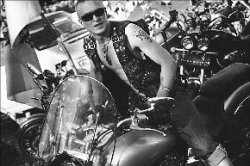 Байки из Питера