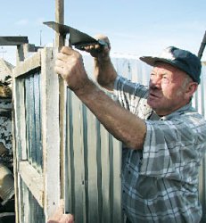 “Ну, погоди!” в краю чудес