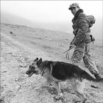 Пограничное состояние