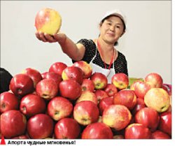 Вина и зрелищ!