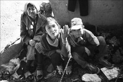 Под крышей неба своего