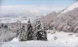 Добежать до неба