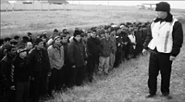 Как сельди в бочке