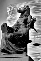 Крокодил задний ход не даёт