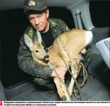 Лучше в вольер, чем на шашлык