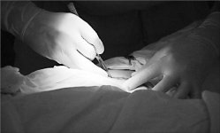 Операция “квота”