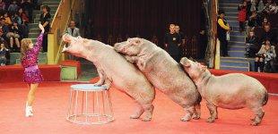 Нелегкая работа