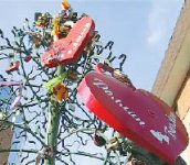 Древо любви в опасности!