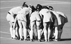 Скандал на траве