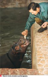 Нескучный зоосад