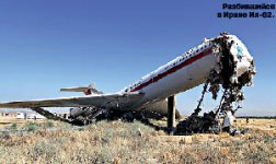 Вдовы на счётчике