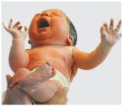 Какие имена сегодня в моде