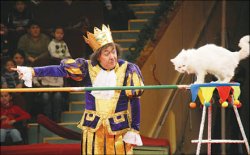 Дублёр для Чёчи