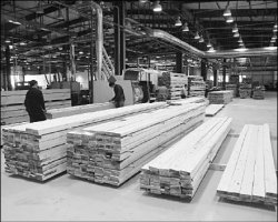 Цугцванг от банка