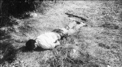 Тело и дело