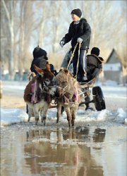 Взбесившийся Чарын