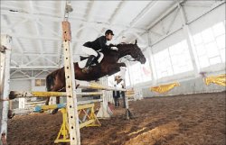 Допрыгались