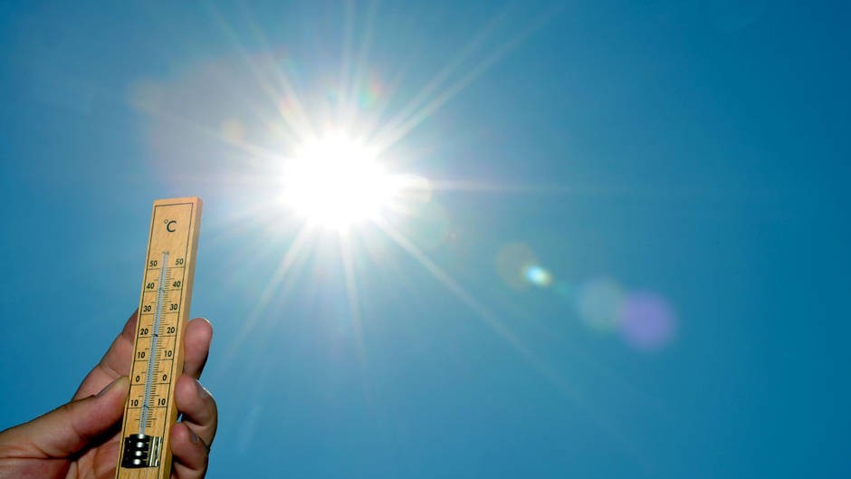 Фото: info.dv-com.net