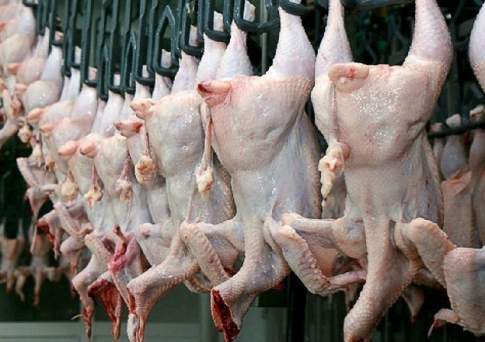 Продукцию российских и белорусских птицефабрик снимают с продажи в Казахстане