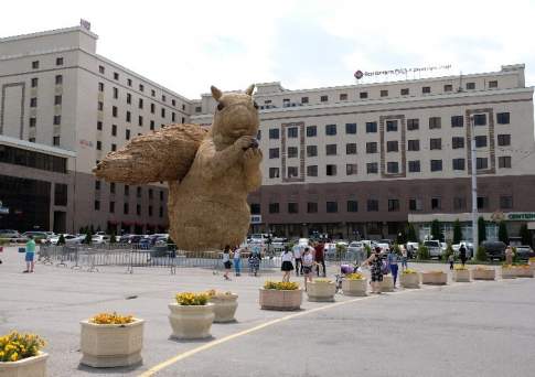 В Алматы приезжают не на Шымбулак и Медеу, а посмотреть на белку - Байбек