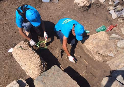 Останки воина тасмолинской культуры обнаружили в Павлодарской области