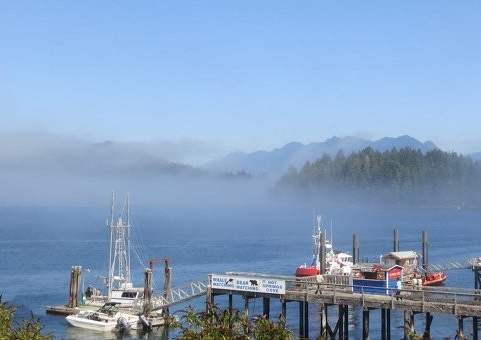 Круизное судно с 27 пассажирами затонуло у побережья Канады