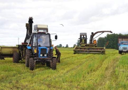 Трактористов и комбайнеров из Узбекистана, Грузии и Киргизии вынуждены приглашать фермеры в Павлодарской области