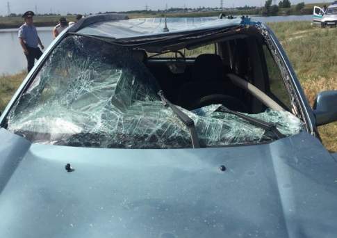 Два человека погибли в затонувшей в пруду машине в Алматинской области