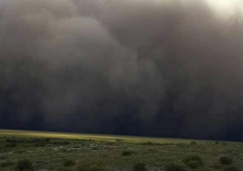 Ураган в Восточном Казахстане повалил деревья, повредил автомобили и обесточил 3 района