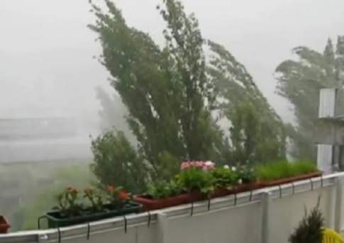 В Жамбылской области создана комиссия по оказанию помощи пострадавшим от урагана