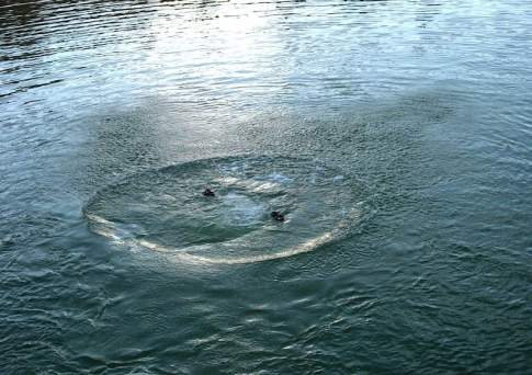 В реке в Карагандинской области найдено тело пропавшего астанчанина