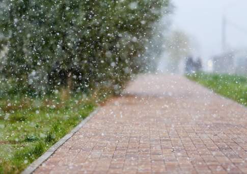 Мокрый снег прогнозируется в последние дни мая на севере и востоке Казахстана