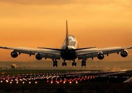 Засеянные поля вокруг аэропорта Алматы названы причиной скопления птиц в зоне взлета и посадки самолетов