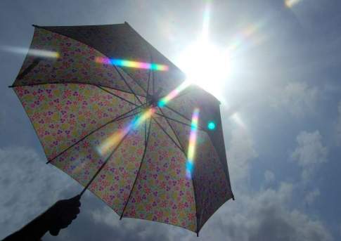 На юге Казахстана в пятницу воздух прогреется до +24 градусов