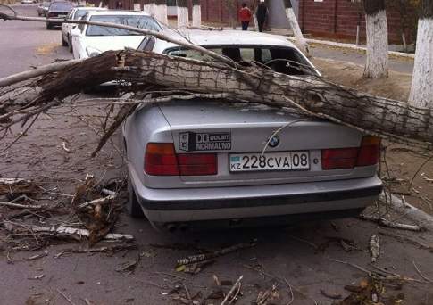 В Жамбылской области в результате сильного урагана пострадали 11 человек