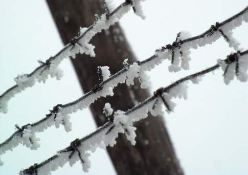 К 2,5 годам лишения свободы приговорен водитель, сбивший насмерть сотрудника СОБР в Алматы