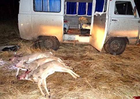 Полицейские Северо-Казахстанской области задержали браконьера, убившего трех косуль