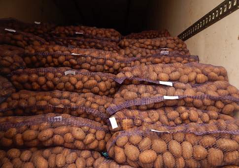 Казахстан вернул России около 135 тонн картофеля и пшеницы, ввезенных без сертификата