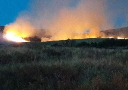 Безответственность дачников привела к степному пожару на 170 га в Восточном Казахстане