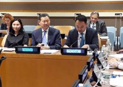 Казахстан в 2019 г. представит первый национальный обзор по реализации целей устойчивого развития ООН