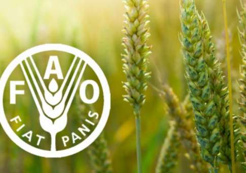 Офис продовольственной организации ООН открылся в РК