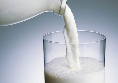 Казахстане будут созданы пункты приема молока
