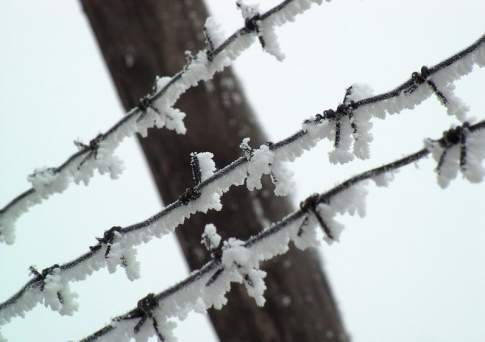Руководство колонии арестовано за создание комфортных условий осужденному экс-главе «Астана Экспо-2017»