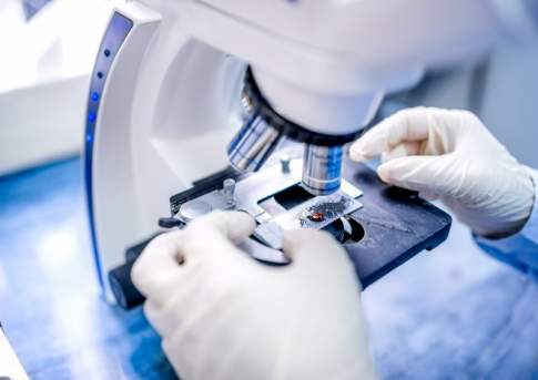 10 казахстанских медколледжей преобразуют в вузы