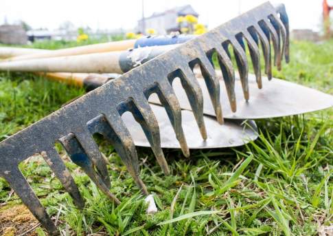 В Казахстане будут наказывать руководство школ и гороно за привлечение учителей к несвойственной им работе