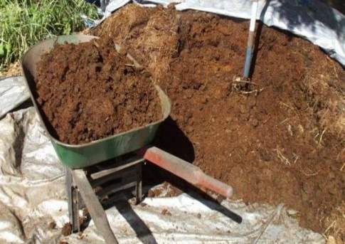 Сельский аким в Атырауской области за взятку навозом поплатился должностью и штрафом в 6,2 млн тенге