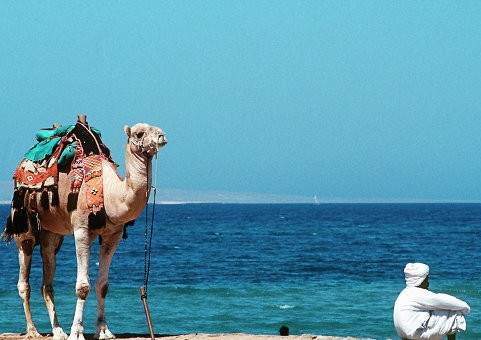 Находящимся в Египте казахстанцам рекомендовали не выезжать за пределы курортных зон