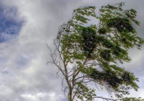 Усиление ветра ожидается во вторник в Кызылординской и Туркестанской областях